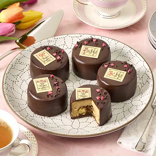 5 mini chocolate-covered tiramisu cheesecakes on a plate, with one cut open