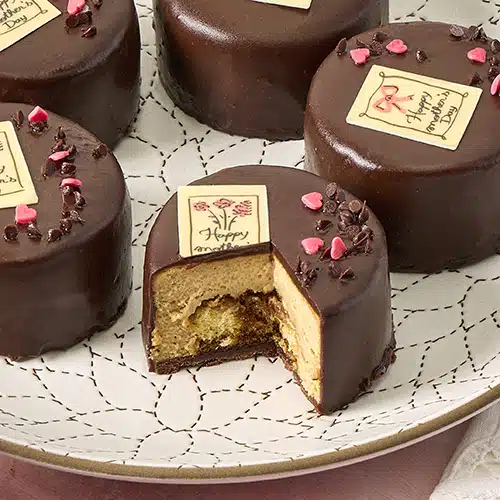 A closeup shot of 5 mini chocolate-covered tiramisu cheesecakes on a plate, with one cut open